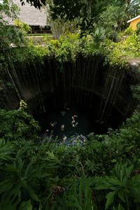 Cenote